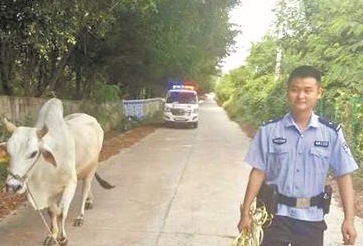 黃牛受到驚嚇躲進停車場 警察“智取”控住黃牛