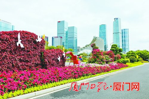 廈門市島內“金鑰匙”繁花擁簇 讓賓客感受別樣風情