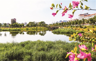 曾經排水溝蛻變成景觀河 西岑溪綜合治理達到目標