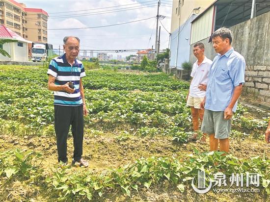 李時鐘：每年義務開展培訓 助農腳步從未停歇