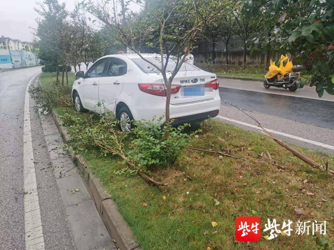 男子盲目超車因車速過快 沖上綠化隔離帶