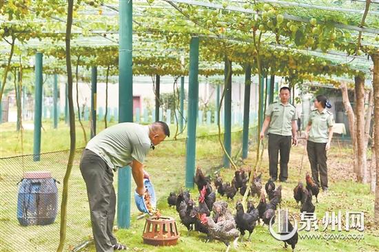 一塊荒草地變成花果園 一排排果實掛滿枝頭