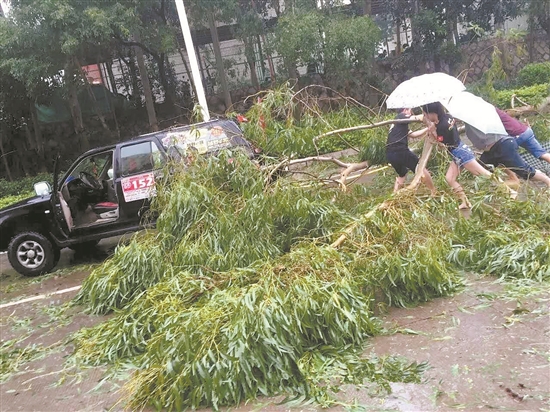 荒野召喚救援隊：日常進行越野拉練 不忘初心堅守公益