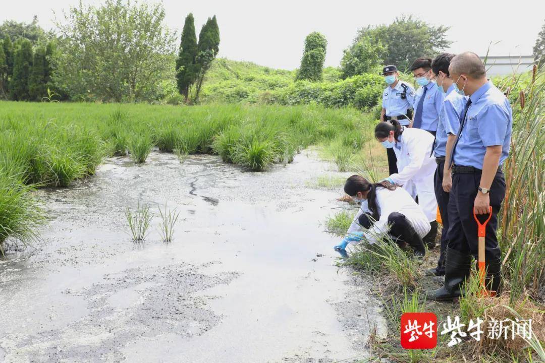 垃圾中轉站污水外溢農田 水面堆積一層厚厚油污