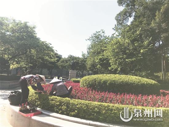 中山公園正加快種植時花 營造國慶節日氛圍