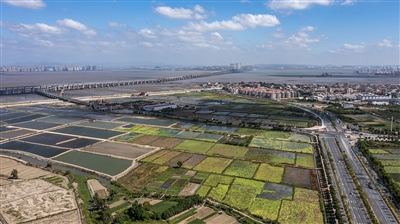 養殖場和田地變身生態公園 大大提升周邊村落環境