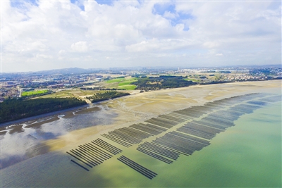 祥芝鎮開啟“耕海牧漁”2.0模式 推進漁業發展轉型升級