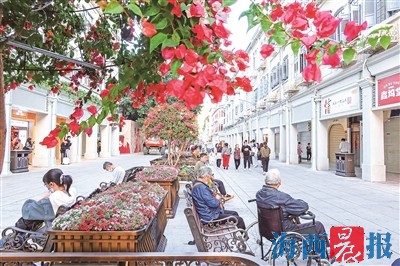 花漾街區打造多彩立體花境 讓百年老街煥發新活力