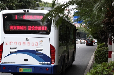 行道樹太過(guò)茂盛會(huì)“闖禍”！樹枝掃進(jìn)車窗乘客受驚擾