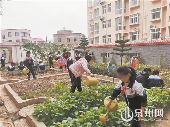 校園一塊荒地改造為菜園地 幫助學生培養勤儉節約意識