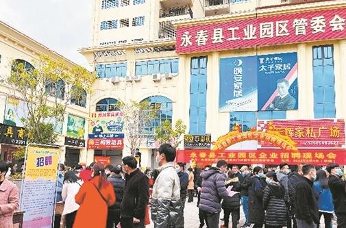 永春舉行5場線上線下招聘會 2832個崗位吸引人才