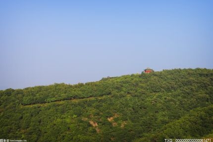 山坡故事在記憶中 永遠伴隨同行