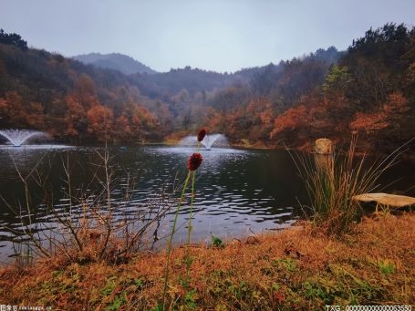 廣德發展生態養殖 魚苗場拓寬農民增收渠道