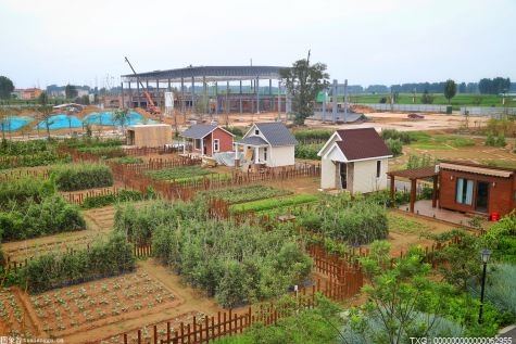 秦皇島市嚴守耕地保護“紅線”  確保按時完成194.5萬畝糧食任務