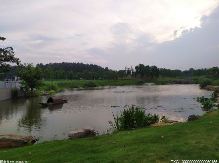 合肥市開展生態(tài)環(huán)境保護(hù)工作 加強(qiáng)應(yīng)急處置準(zhǔn)備