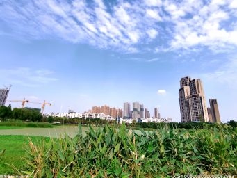 深州市深入推進省級森林城市創建工作 打造多支點森林城市景觀格局